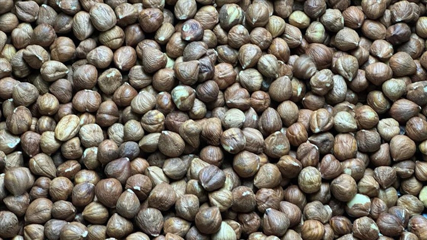 Fındık İhracat
